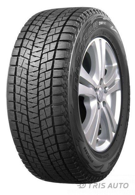 Bridgestone DM-V1