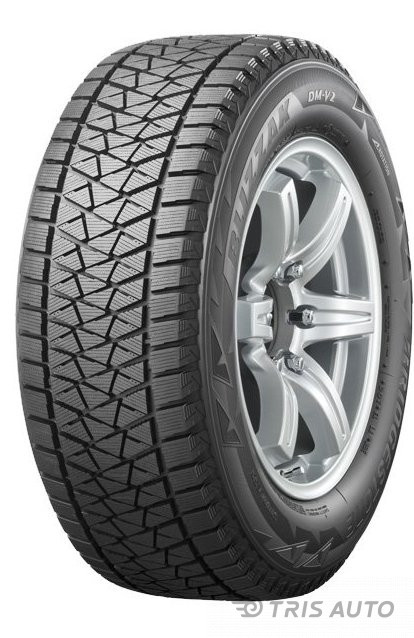 Bridgestone DM-V2