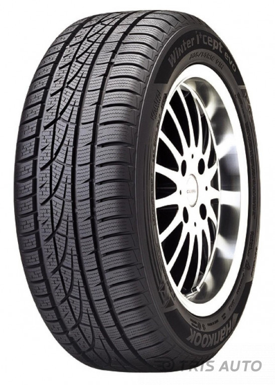 Hankook W310